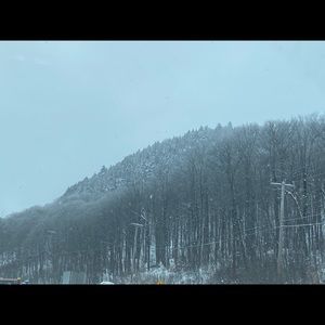 Meet your Posher, Todd